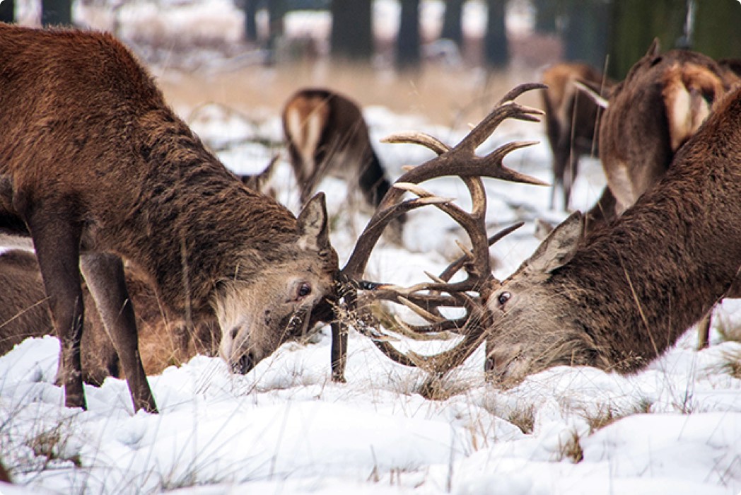 Jtl-blog-Insights-difficult-conversation@2x