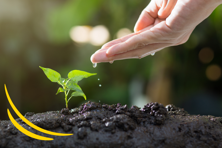 Feature - Tips for Working with an Earth Green Manager (3)