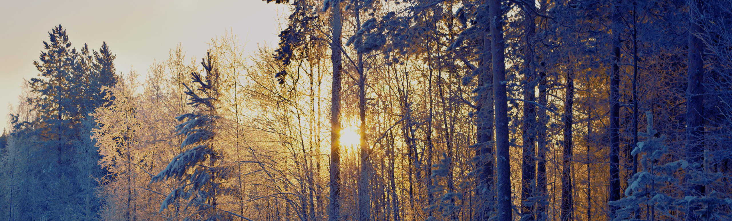 new background size (14)